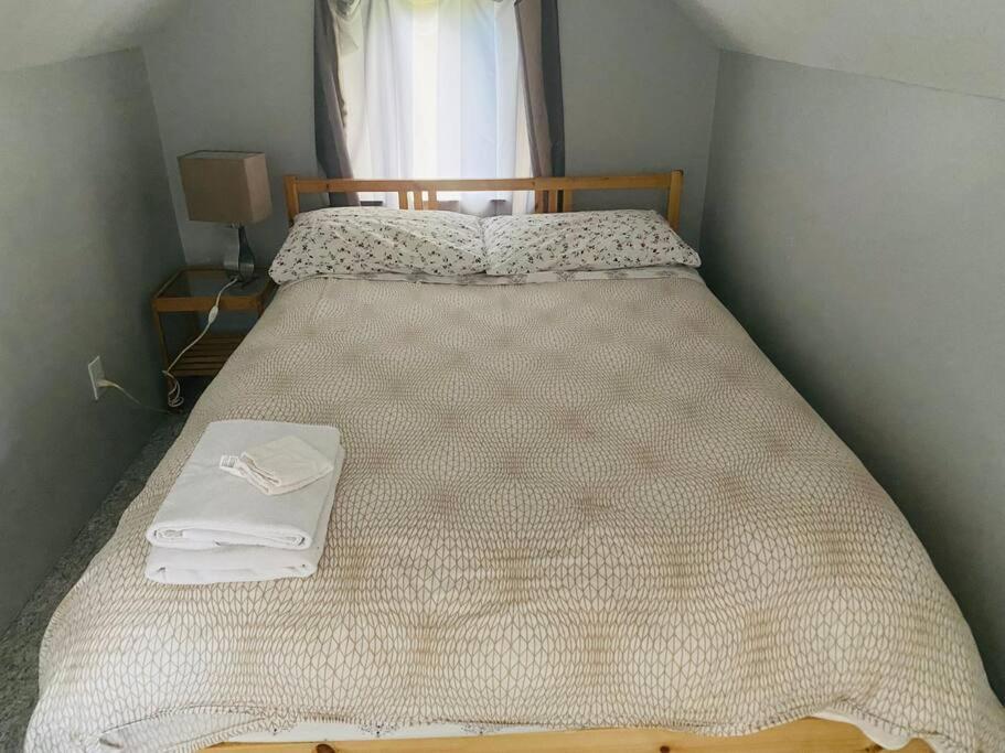 Artistic Apartment Near Downtown Вікторія Екстер'єр фото