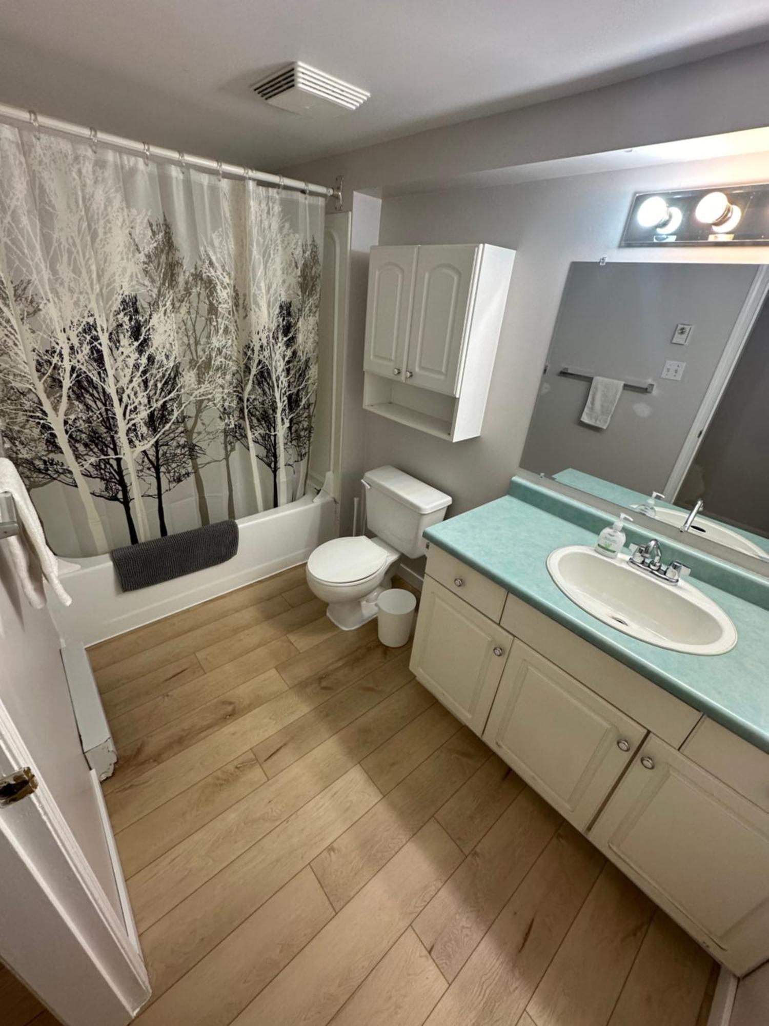 Artistic Apartment Near Downtown Вікторія Екстер'єр фото
